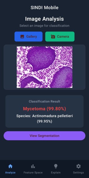 AIによる皮膚疾患診断技術の開発(Identifying Skin Disease with AI)