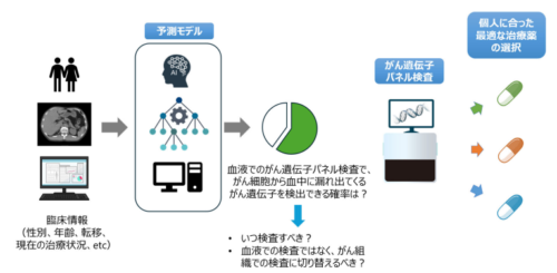血液を使ったがん遺伝子パネル検査の成功確率の予測モデル～より副作用の少ない治療をより多くの患者さんに届けるために～
