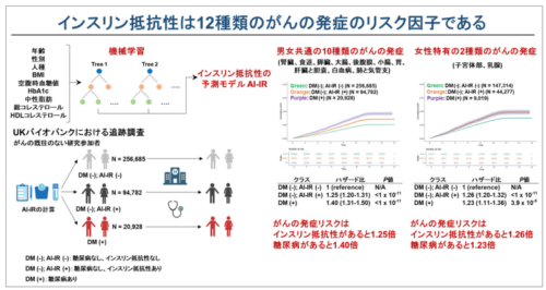 インスリン抵抗性はがんのリスク因子である～インスリン抵抗性を予測する機械学習モデルの開発と応用～