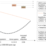 遺伝的リスク群において高い肉摂取が認知症リスク低下と関連（High meat consumption linked to lower dementia risk in genetic risk group）