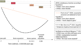 遺伝的リスク群において高い肉摂取が認知症リスク低下と関連（High meat consumption linked to lower dementia risk in genetic risk group）