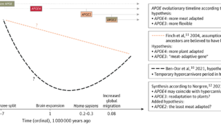 遺伝的リスク群において高い肉摂取が認知症リスク低下と関連（High meat consumption linked to lower dementia risk in genetic risk group）