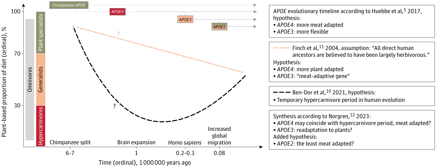 遺伝的リスク群において高い肉摂取が認知症リスク低下と関連（High meat consumption linked to lower dementia risk in genetic risk group）