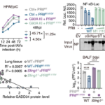 鳥インフルエンザが人に感染する仕組みの重要な手がかりを発見 (How does bird flu jump to humans? A team from Zhejiang University finds a key clue)