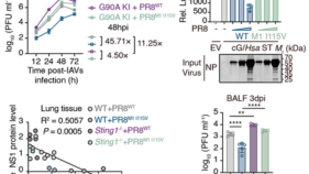 鳥インフルエンザが人に感染する仕組みの重要な手がかりを発見 (How does bird flu jump to humans? A team from Zhejiang University finds a key clue)