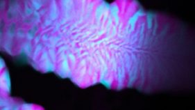 水素結合なしで複雑なDNA構造を形成（Scientists Form Complex DNA Structures Without Hydrogen Bonds）