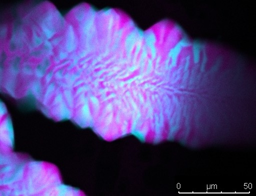 水素結合なしで複雑なDNA構造を形成（Scientists Form Complex DNA Structures Without Hydrogen Bonds）