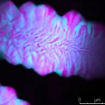水素結合なしで複雑なDNA構造を形成（Scientists Form Complex DNA Structures Without Hydrogen Bonds）