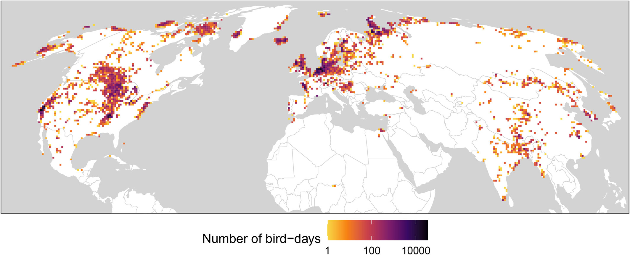 水鳥の生息地が鳥インフルエンザ拡散に与える影響を解明（Bird flu spread could be impacted by where waterfowl like to live）