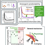 細菌システムの予測可能性に関する研究 （Finding Predictability in the Teeming World of Bacteria）