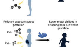 胎児期の大気汚染曝露が発達遅延に関連（Air pollution exposure in the womb linked to slower development）