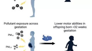 胎児期の大気汚染曝露が発達遅延に関連（Air pollution exposure in the womb linked to slower development）