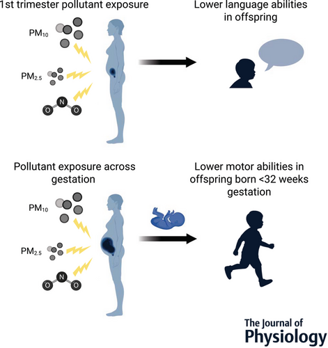 胎児期の大気汚染曝露が発達遅延に関連（Air pollution exposure in the womb linked to slower development）