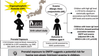 「妊娠期における有機リン系殺虫剤ばく露と4歳児の湿しん及びアレルギー性鼻結膜炎との関連」について
