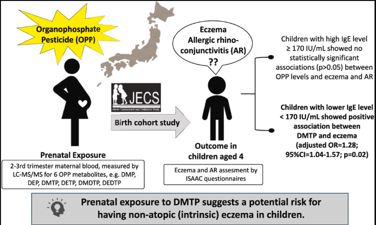 「妊娠期における有機リン系殺虫剤ばく露と4歳児の湿しん及びアレルギー性鼻結膜炎との関連」について