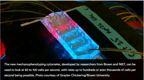細胞弾性測定の高速・高精度化技術 （Measuring Cell Elasticity Faster and More Reliably）