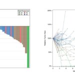 乳がん薬が治療抵抗性子宮がんに有効 （Breast cancer drug is effective for treatment-resistant uterine cancer）