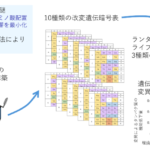 人工遺伝暗号表の試験管内再構成により標準遺伝暗号表の謎に迫る ──誤り最小化仮説を実験的に検証── 人工遺伝暗号表の試験管内再構成により標準遺伝暗号表の謎に迫る ──誤り最小化仮説を実験的に検証──