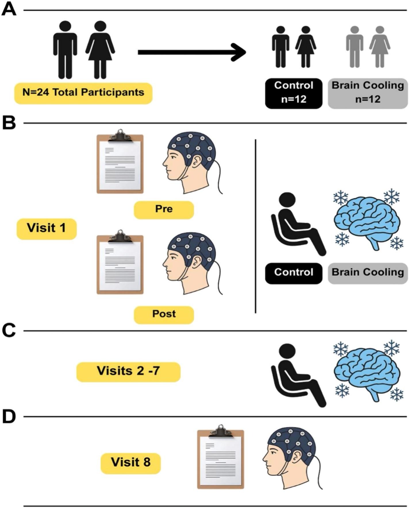 頭部冷却がうつ症状を軽減し脳活動を変化させる可能性 (Head Cooling May Reduce Depression Symptoms and Change Brain Activity)