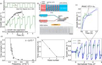 細菌は脳を持たずに学習し記憶を形成できることを発見（Bacteria Can Learn and Form Memories Without a Brain）