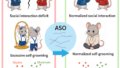 自閉症関連の脳機能障害を回復させる可能性のある新規治療法（New Therapy May Reverse Autism-Related Brain Deficits）