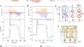 導電性プラスチックで心筋細胞のイオン伝達を人工的に再現 （Scientists mimic heart muscle cells with conductive plastic）