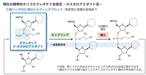 DNAをより簡便かつ高速に合成する新手法－RNAにも応用可能で、医療・創薬・生命科学を支える技術－