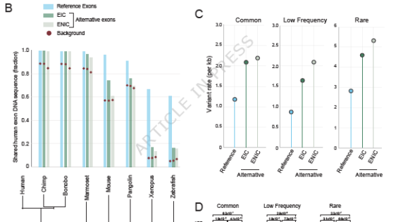 重症COVID-19と肺疾患に関連するタンパク質を特定 (Protein Linked to Severe COVID and Lung Disease)
