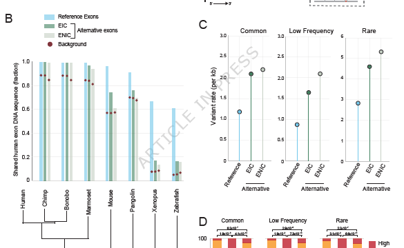 重症COVID-19と肺疾患に関連するタンパク質を特定 (Protein Linked to Severe COVID and Lung Disease)