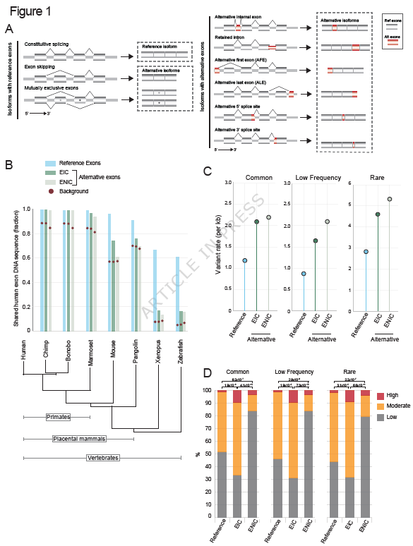 重症COVID-19と肺疾患に関連するタンパク質を特定 (Protein Linked to Severe COVID and Lung Disease)