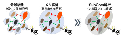 微生物群集のチームプレーを読み解く新技術を開発 ―組み合わせ情報と機械学習でミクロ社会の構造を紐解く―
