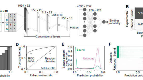 AIでDNA配列間の結合予測精度を向上（Scientists Are Getting Better at Predicting Which DNA Sequences Bind to Each Other. AI is Helping.）