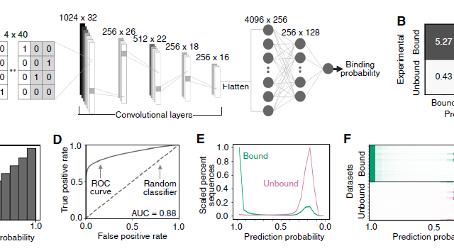 AIでDNA配列間の結合予測精度を向上（Scientists Are Getting Better at Predicting Which DNA Sequences Bind to Each Other. AI is Helping.）