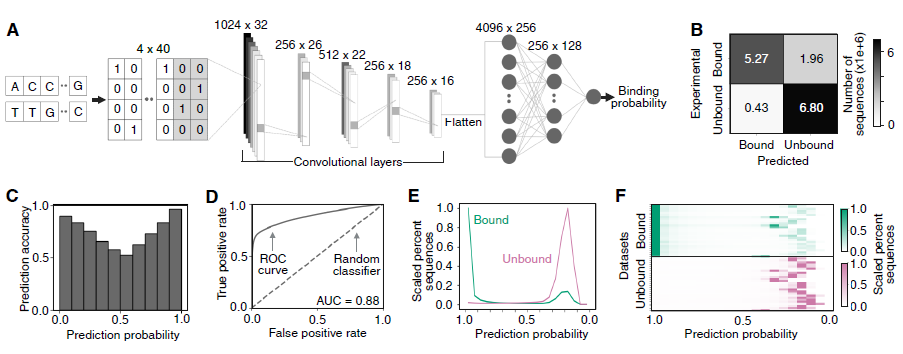 AIでDNA配列間の結合予測精度を向上(Scientists Are Getting Better at Predicting Which DNA Sequences Bind to Each Other. AI is Helping.) AIでDNA配列間の結合予測精度を向上(Scientists Are Getting Better at Predicting Which DNA Sequences Bind to Each Other. AI is Helping.)