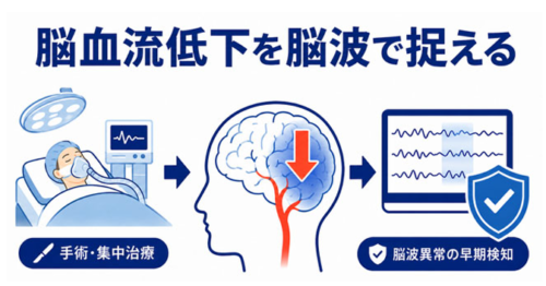 脳血流低下による脳波変化の“見え方”は解析法で異なる―手術・集中治療におけるより安全な医療に向けて―