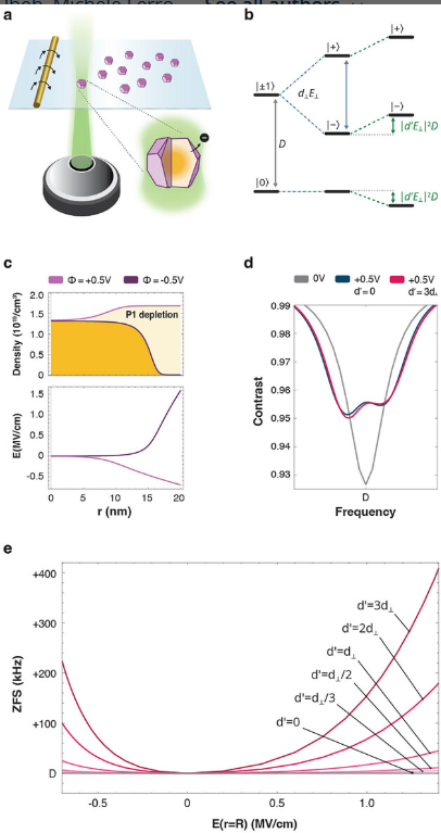 「単一細胞のEKG」に向けて研究者が障壁を突破（Researchers clear hurdle toward &lsquo;EKG for a single cell&rsquo;）