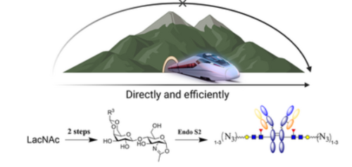 標的型がん治療薬ADCの製造を簡素化する新技術（UW Researchers Simplify Production of Promising Targeted Cancer Therapies）