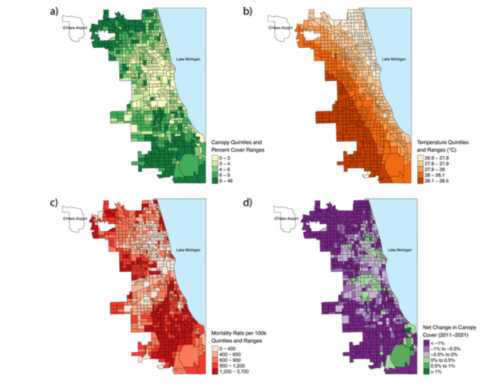 都市の樹木被覆の減少が死亡率上昇につながることを示す（As urban tree shade shrinks, mortality rises）