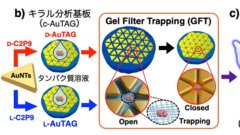 微量タンパク質の状態を簡便に読み取る新技術～簡易なラマン分光装置でタンパク質の立体構造を反映した分子構造情報の取得を実現～