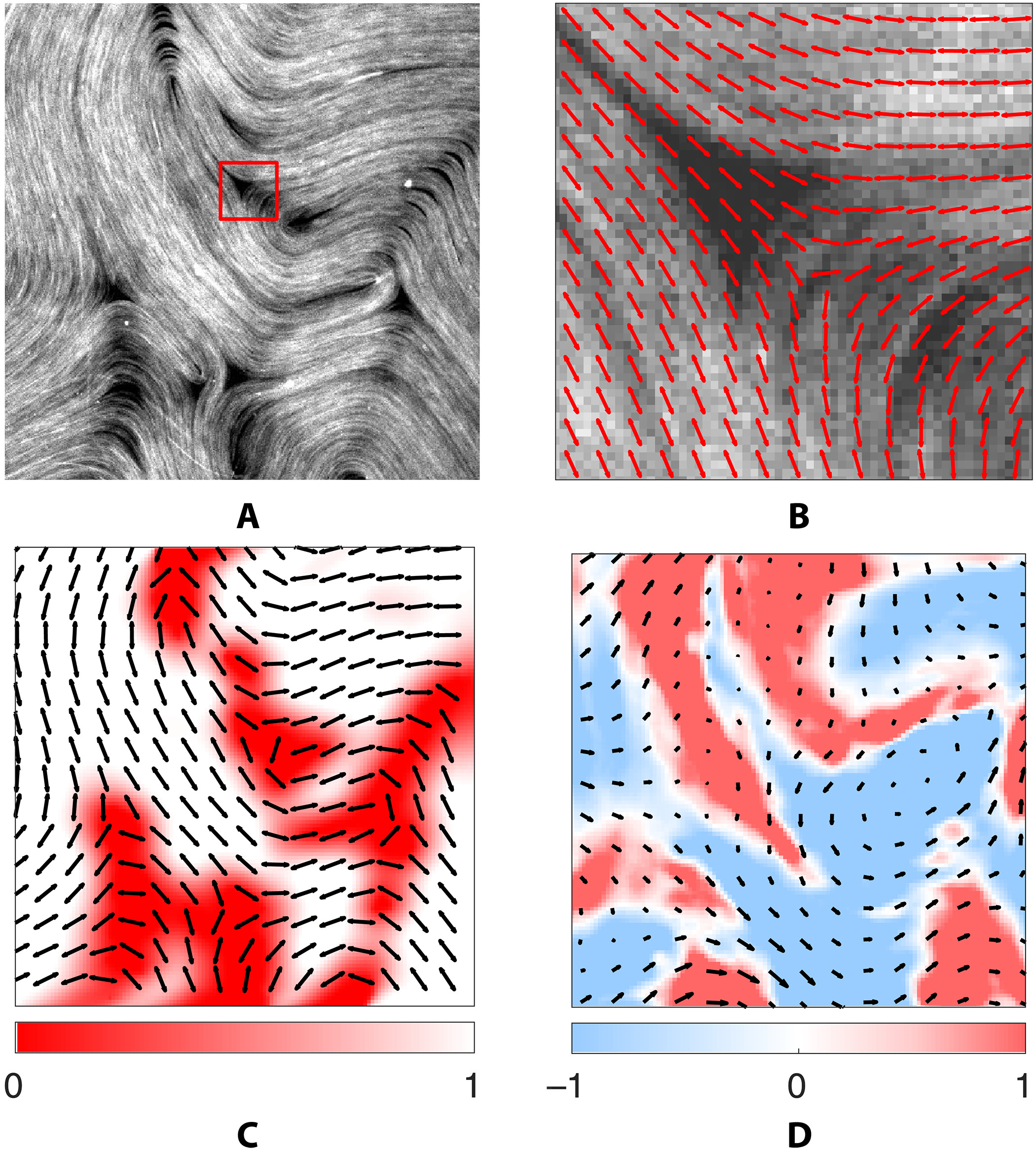 物理学者が微小管移動の謎を解く(Physicists Solve Mysteries of Microtubule Movers) 物理学者が微小管移動の謎を解く(Physicists Solve Mysteries of Microtubule Movers)
