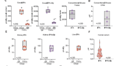 肝臓と腸内細菌が食品分子を変化させ、体の生物学的活動に影響（Liver, gut bacteria alter food molecules, influence body&rsquo;s biological activity）