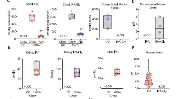 肝臓と腸内細菌が食品分子を変化させ、体の生物学的活動に影響（Liver, gut bacteria alter food molecules, influence body&rsquo;s biological activity）