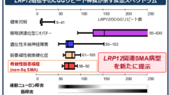 成人発症の脊髄性筋萎縮症に新たな遺伝的病因を発見―LRP12 遺伝子のCGG リピート伸長による新たな病型を提示―