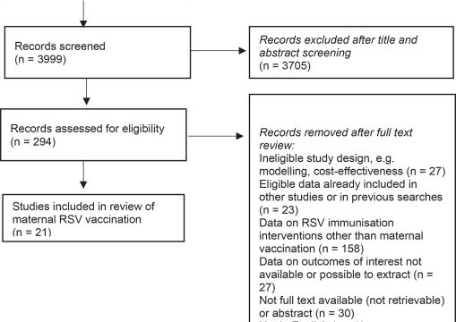 RSVワクチン接種率に大きな差（Stark differences in RSV vaccine uptake）