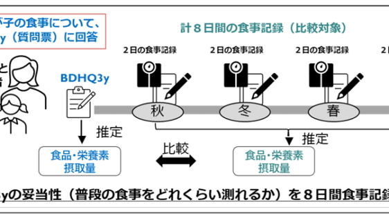 幼児の食事調査のための質問票BDHQ3y ――8日間食事記録との比較により、BDHQ3yの妥当性を全国規模で検証――