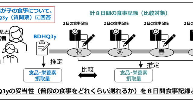 幼児の食事調査のための質問票BDHQ3y ――8日間食事記録との比較により、BDHQ3yの妥当性を全国規模で検証――