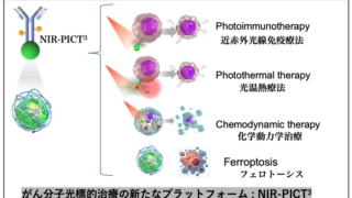 ナノと光の力で腫瘍根絶を目指す ～鉄ナノ粒子を応用した集学・複合治療プラットフォーム～
