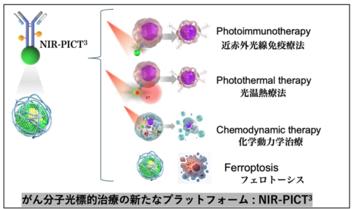 ナノと光の力で腫瘍根絶を目指す ~鉄ナノ粒子を応用した集学・複合治療プラットフォーム~ ナノと光の力で腫瘍根絶を目指す ~鉄ナノ粒子を応用した集学・複合治療プラットフォーム~