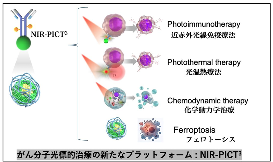 ナノと光の力で腫瘍根絶を目指す ～鉄ナノ粒子を応用した集学・複合治療プラットフォーム～